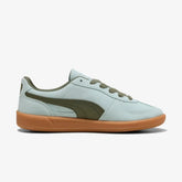 Puma In Palermo